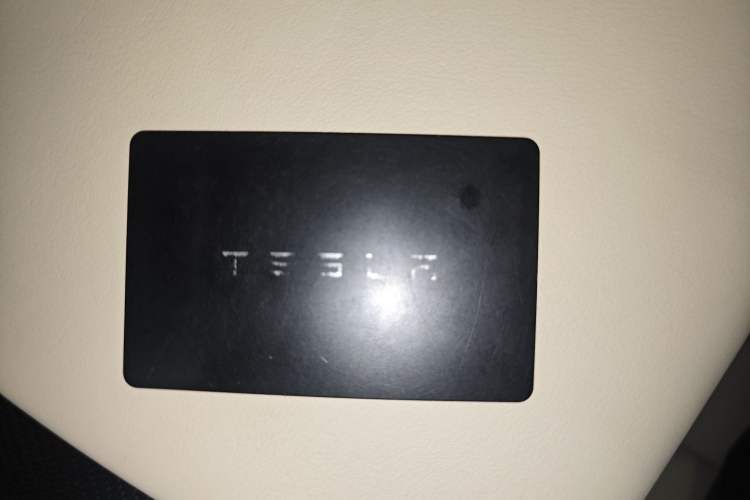 Used Tesla Model S 2023 Three-Motor All-Wheel-Drive Plaid Version Interior 1