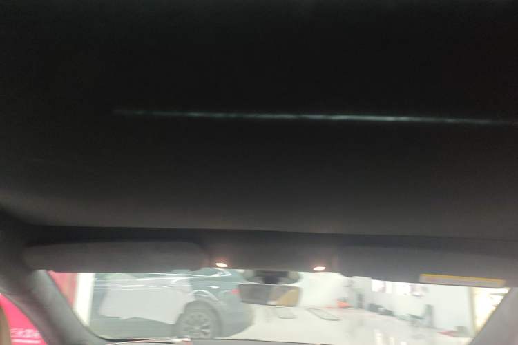 Used Tesla Model S 2023 Three-Motor All-Wheel-Drive Plaid Version Headliner