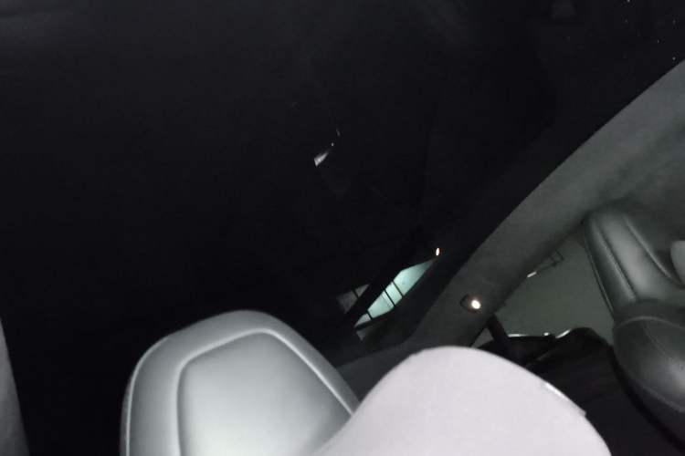 Used Tesla Model S 2023 Dual-Motor All-Wheel-Drive Version Headliner