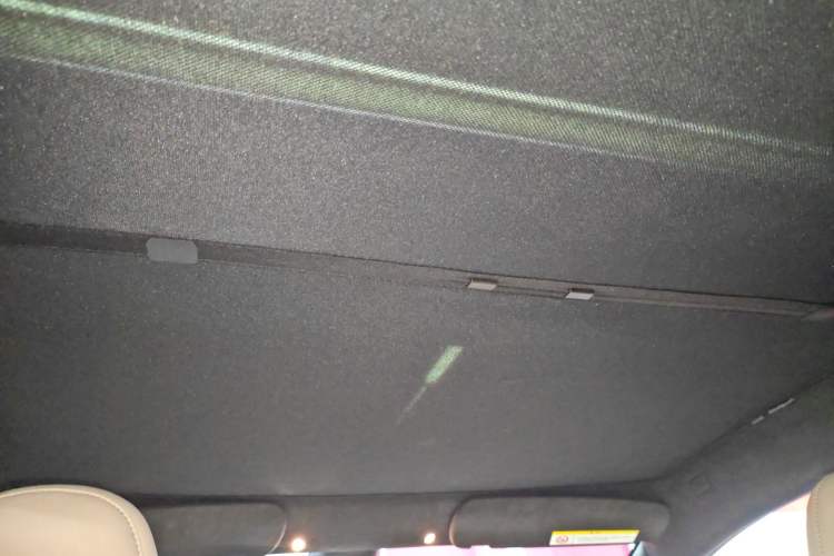 Used Tesla Model S 2023 Dual-Motor All-Wheel-Drive Version Headliner