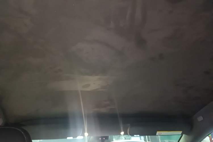 Used Tesla Model S 2023 Dual-Motor All-Wheel-Drive Version Headliner