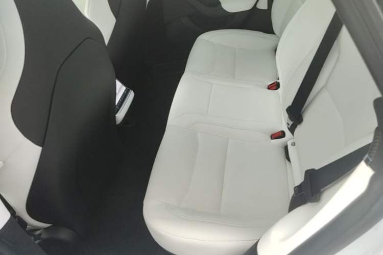 Used Tesla Model S 2023 Dual-Motor All-Wheel-Drive Version Left Rear Seat