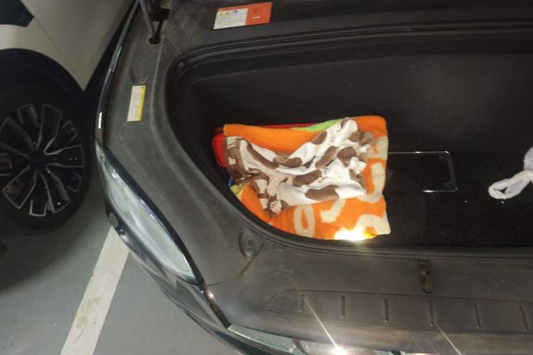 Used Tesla Model X 2016 X P100D Performance High-Performance Edition Engine Bay Right