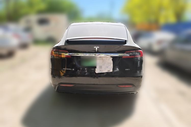 Used Tesla Model X 2016 X 75D Rear