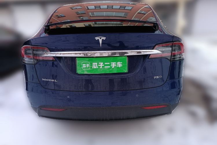 Used Tesla Model X 2016 X 75D Rear