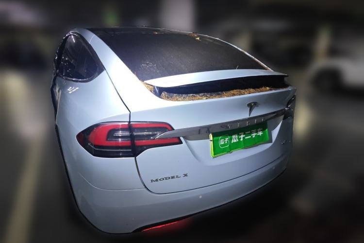 Used Tesla Model X 2016 X 60D Rear