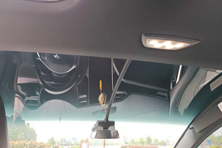 Used Tesla Model X 2016 X 60D Headliner
