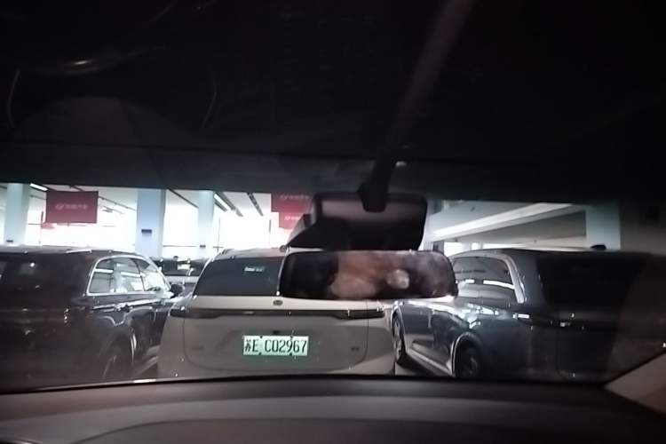 Used Tesla Model X 2016 X 75D Headliner