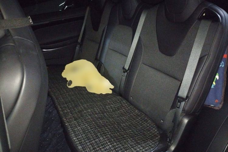 Used Tesla Model X 2016 X 75D Left Rear Seat