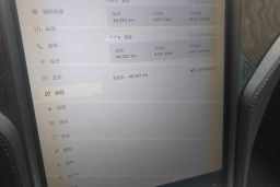 Thumbnail 13