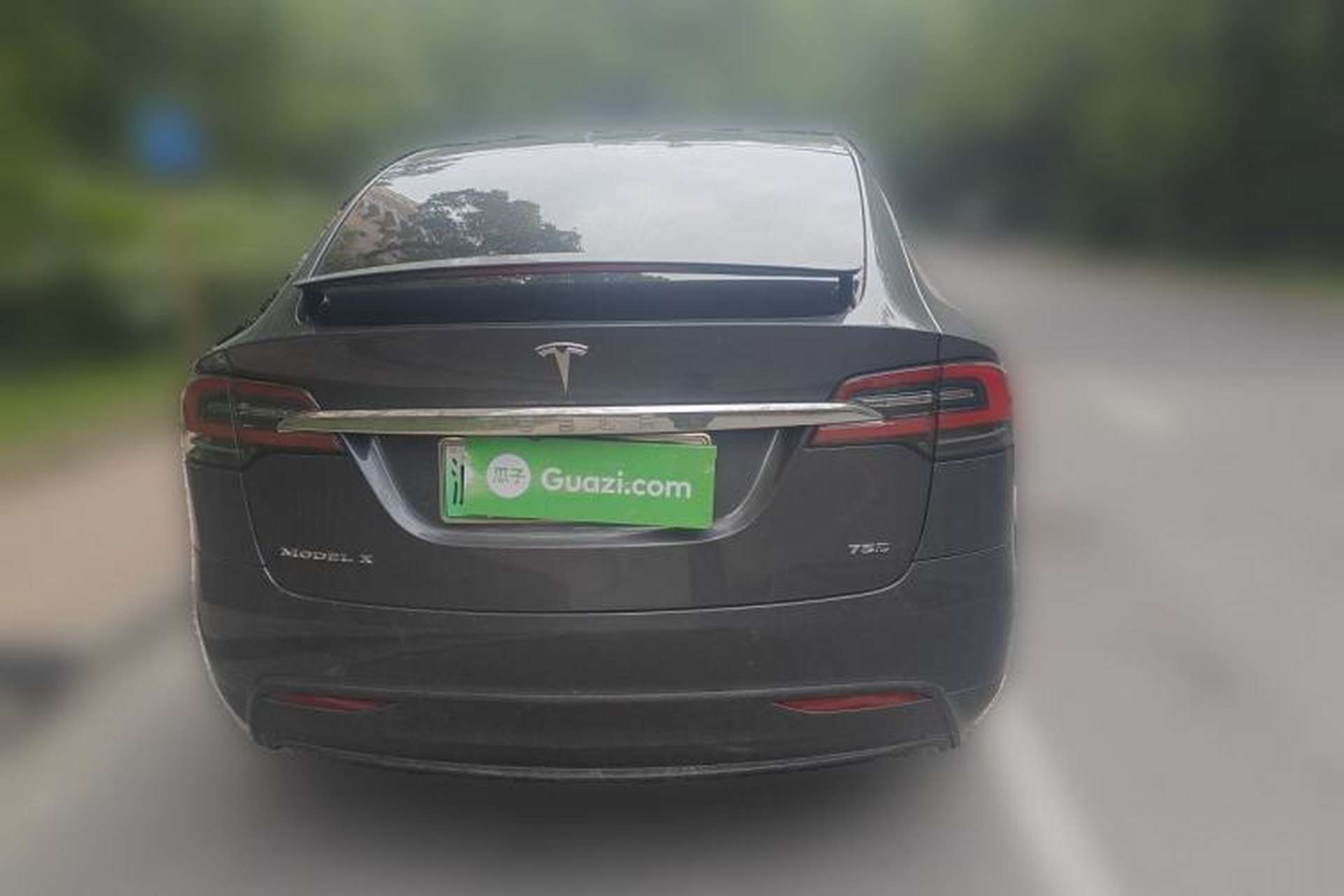 Used Tesla Model X 2016 X 75D Rear