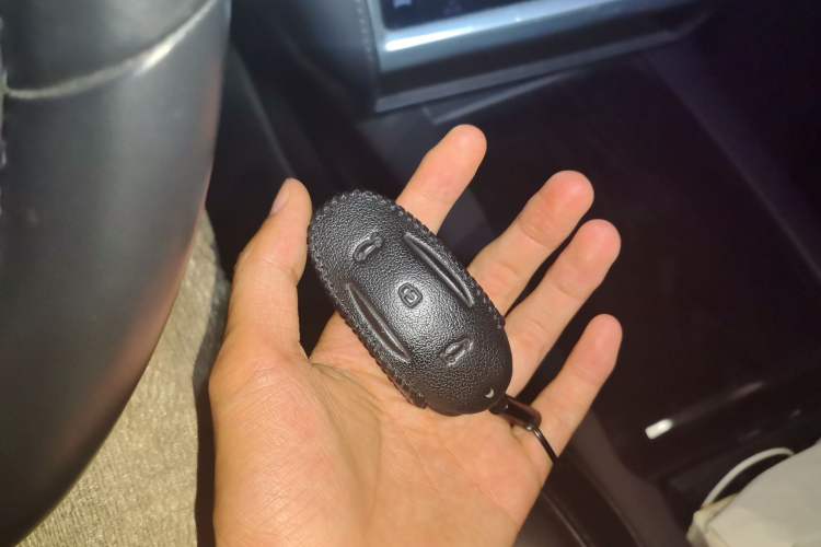 Used Tesla Model X 2016 X 75D Vehicle Key