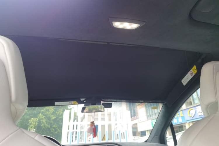 Used Tesla Model X  Headliner