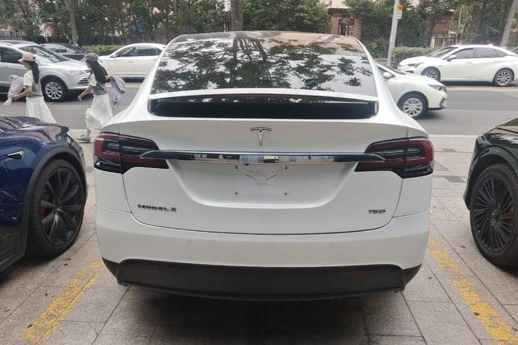 Used Tesla Model X 2016 X 75D Rear