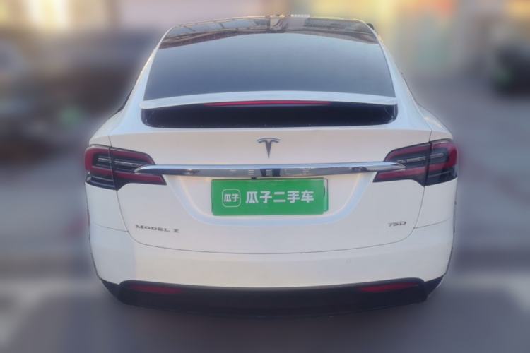 Used Tesla Model X 2016 X 75D Rear