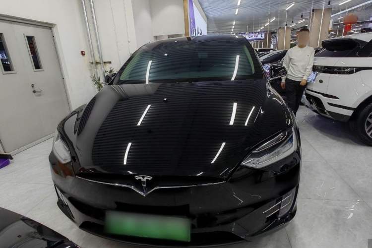 Used Tesla Model X 2017 X 100D Long Range Edition Exterior 1