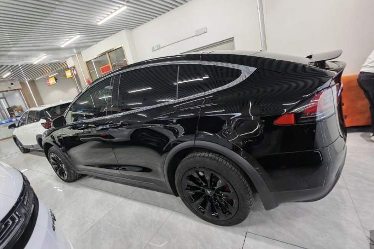 Used Tesla Model X 2017 X 100D Long Range Edition Exterior 5