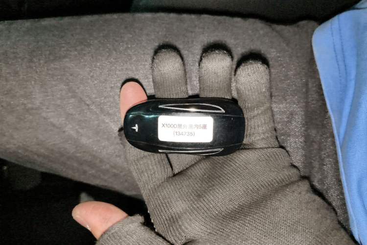 Used Tesla Model X 2017 X 100D Long Range Edition Interior 1