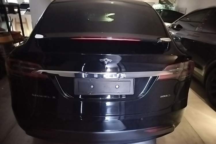 Used Tesla Model X 2017 X 100D Long Range Edition Rear