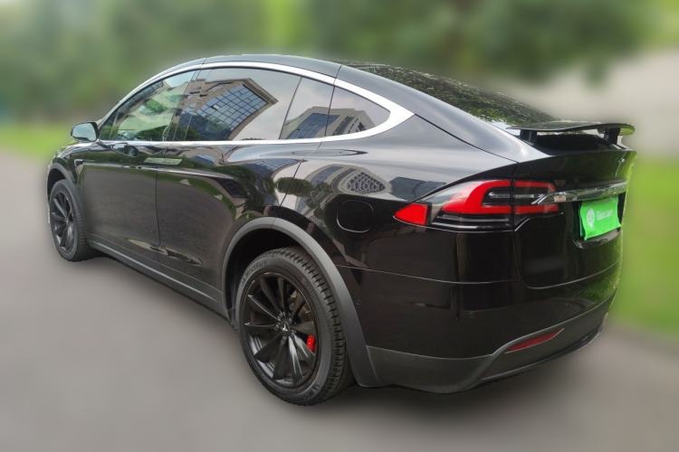 Used Tesla Model X 2017 X 100D Long Range Edition Rear Left 45 Deg
