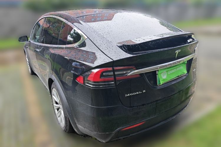 Used Tesla Model X 2017 X 100D Long Range Edition Rear Left 45 Deg