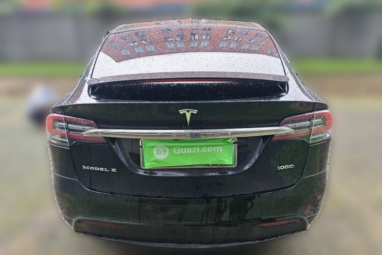 Used Tesla Model X 2017 X 100D Long Range Edition Rear