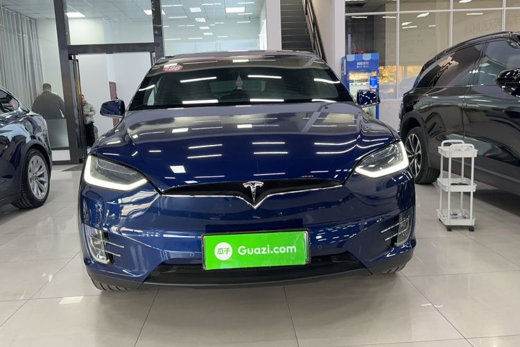 Used Tesla Model X 2017 X 100D Long Range Edition Exterior 1