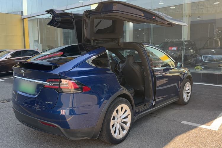 Used Tesla Model X 2017 X 100D Long Range Edition Exterior 10