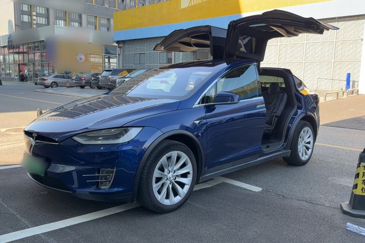 Used Tesla Model X 2017 X 100D Long Range Edition Exterior 12