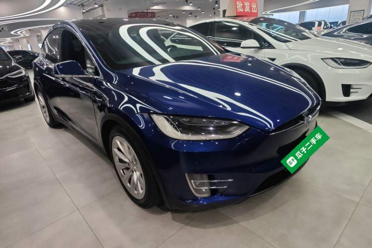 Used Tesla Model X 2017 X 100D Long Range Edition Exterior 2