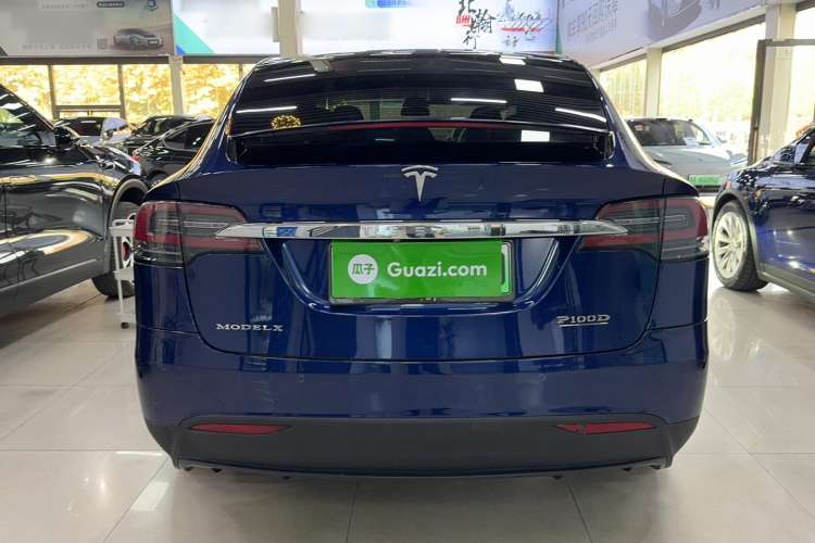 Used Tesla Model X 2017 X 100D Long Range Edition Exterior 4