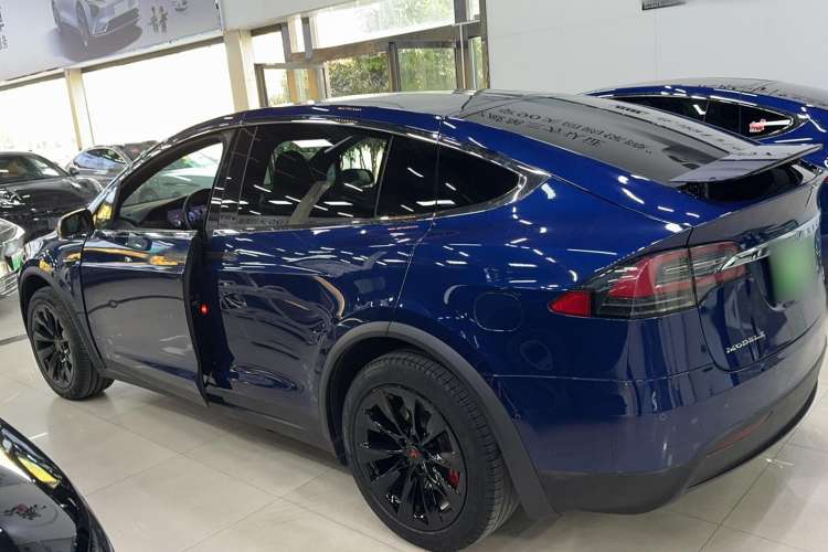 Used Tesla Model X 2017 X 100D Long Range Edition Exterior 5