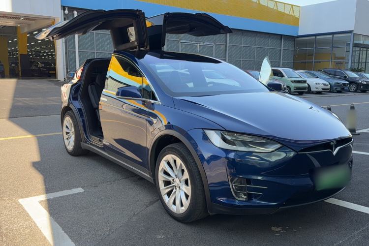 Used Tesla Model X 2017 X 100D Long Range Edition Exterior 7