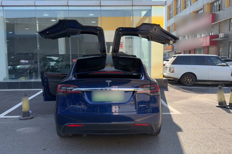 Used Tesla Model X 2017 X 100D Long Range Edition Exterior 9