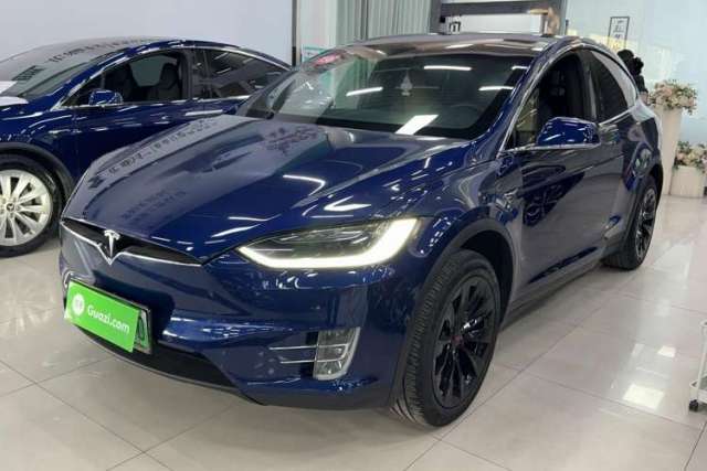 Used Tesla Model X 2017 X 100D Long Range Edition