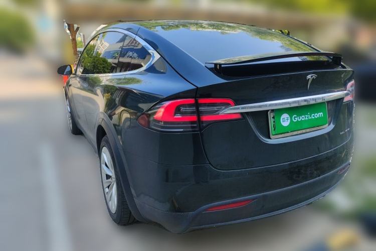 Used Tesla Model X 2017 X 100D Long Range Edition Rear Left 45 Deg