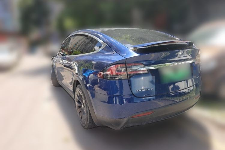 Used Tesla Model X 2017 X 100D Long Range Edition Rear Left 45 Deg