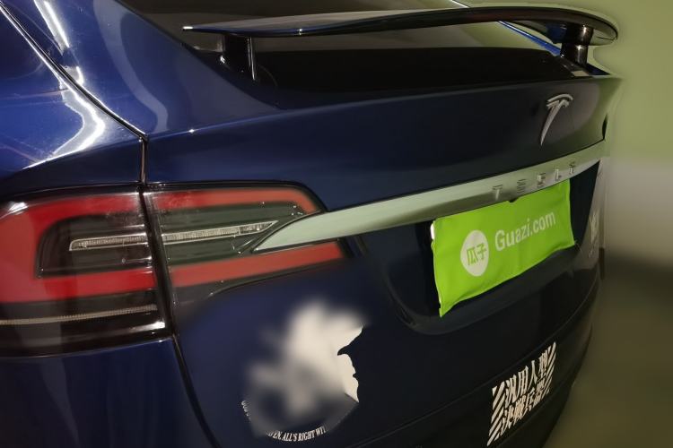 Used Tesla Model X 2017 X 100D Long Range Edition Rear