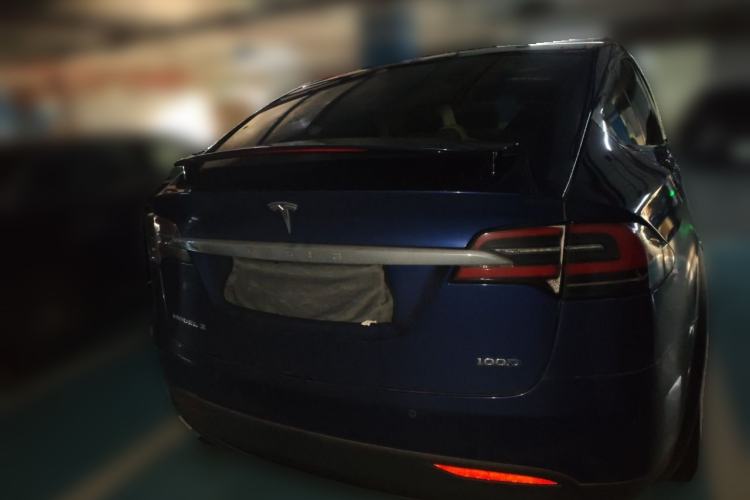 Used Tesla Model X 2017 X 100D Long Range Edition Rear