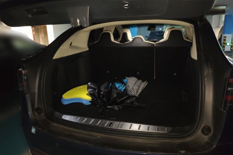 Used Tesla Model X 2017 X 100D Long Range Edition Trunk