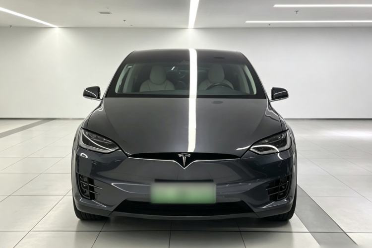 Used Tesla Model X 2017 X 100D Long Range Edition Exterior 10