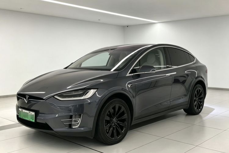 Used Tesla Model X 2017 X 100D Long Range Edition Exterior 2