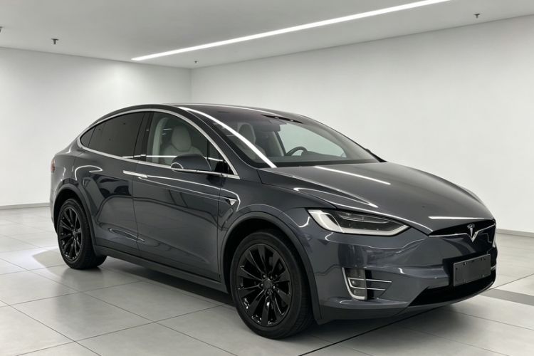Used Tesla Model X 2017 X 100D Long Range Edition Exterior 5