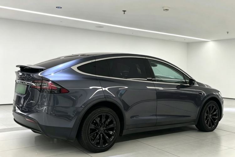 Used Tesla Model X 2017 X 100D Long Range Edition Exterior 6