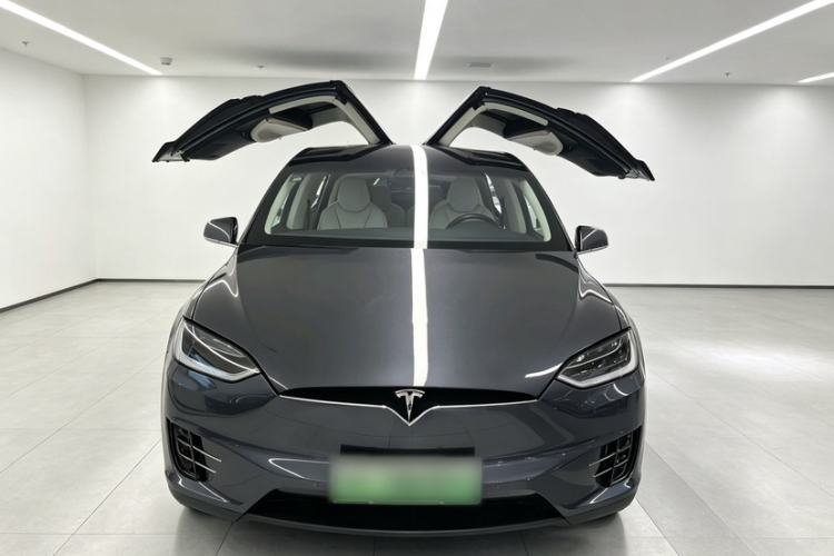 Used Tesla Model X 2017 X 100D Long Range Edition Exterior 8