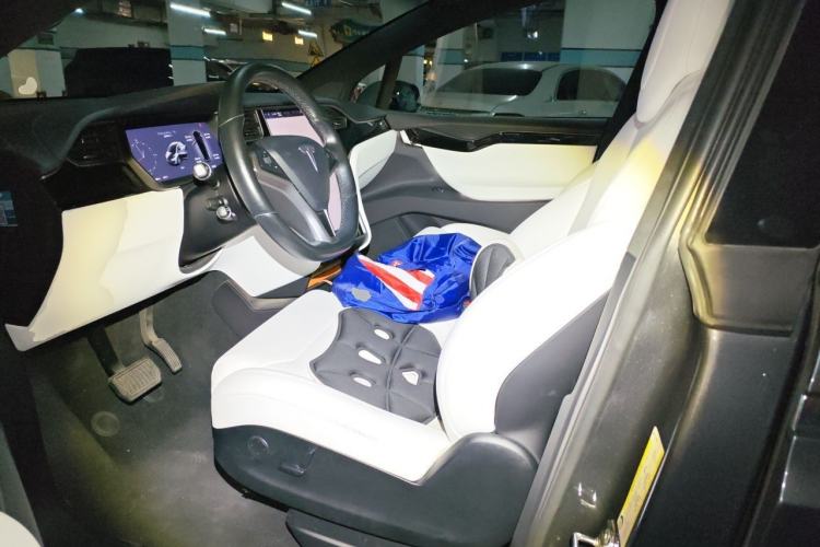 Used Tesla Model X 2017 X 100D Long Range Edition Left Front Seat