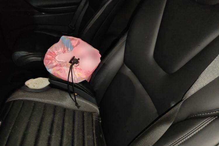 Used Tesla Model X 2017 X 100D Long Range Edition Left Rear Seat