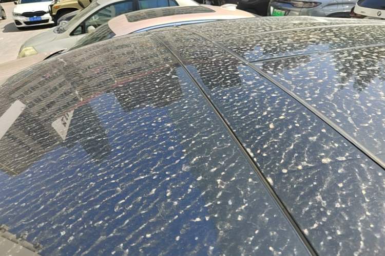 Used Tesla Model X 2017 X 100D Long Range Edition Roof