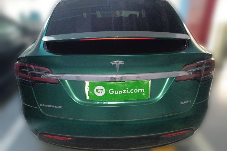 Used Tesla Model X 2017 X 100D Long Range Edition Exterior 4
