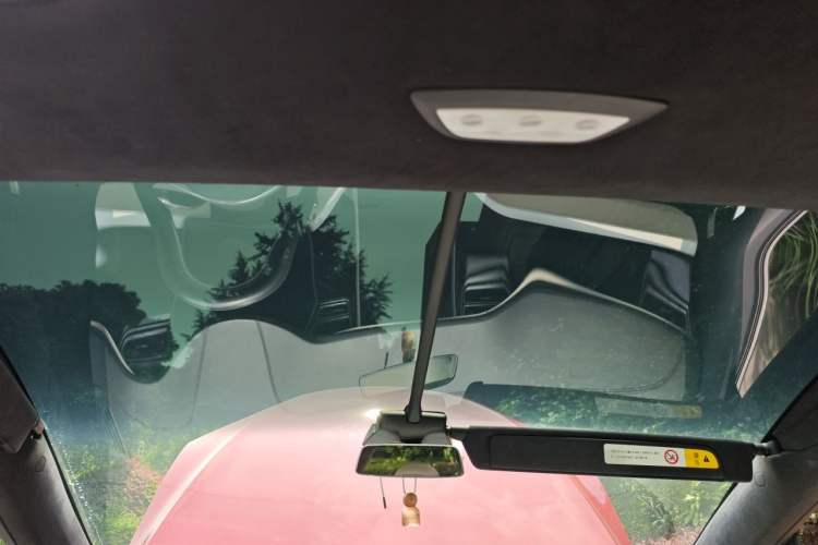 Used Tesla Model X 2017 X 100D Long Range Edition Headliner